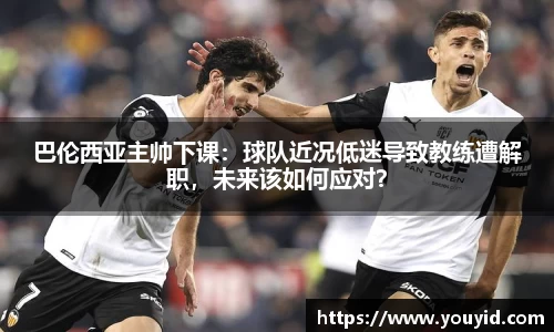 彩神VI首页官网